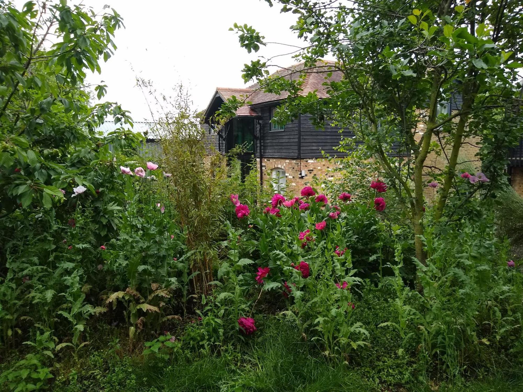 Apartmán Watercress Barns Sittingbourne Exteriér fotografie