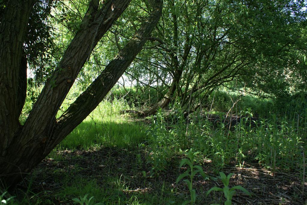 Apartmán Watercress Barns Sittingbourne Exteriér fotografie